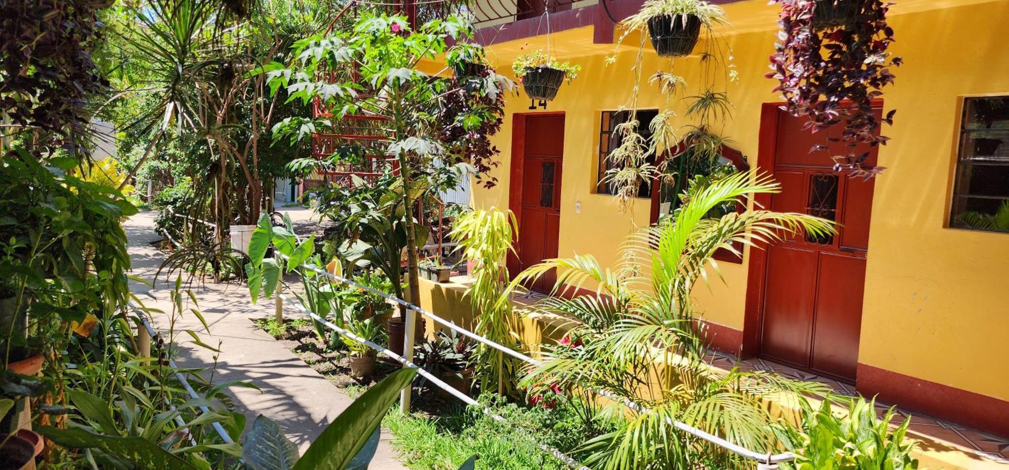 Hospedaje Santo Domingo Panajachel Eksteriør billede